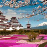 Guide to Learning Japanese