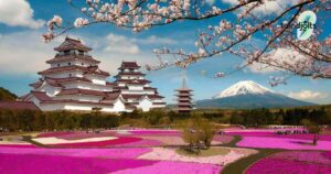 Guide to Learning Japanese
