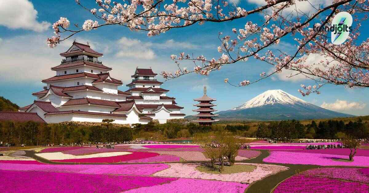 Guide to Learning Japanese